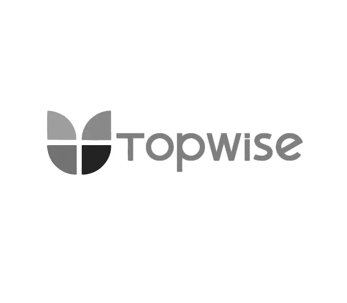 برند Topwise